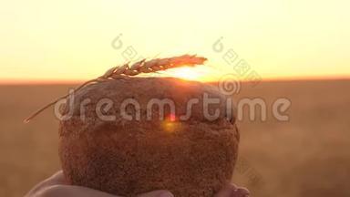 手掌上烤着一块面包。 一<strong>条带</strong>着一只麦穗的面包，在夕阳下，在麦田上由女孩手中。 特写